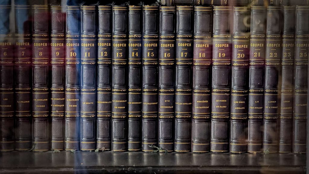 Leather bound books in a classic collection