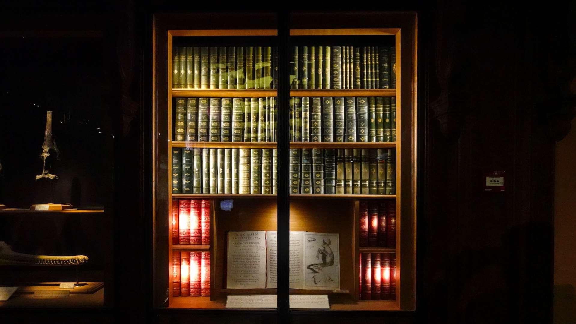 antique bookcase with leather bound collection of classics under dim light
