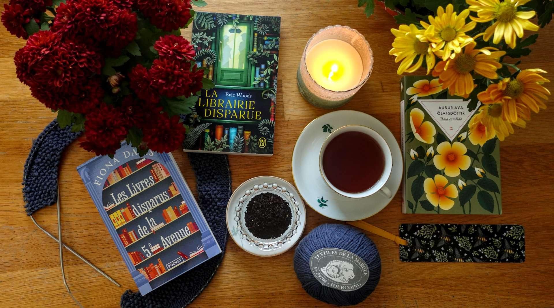 autumn books, candle, chrysanthemums and knitting with a cup of tea, ambiance shot
