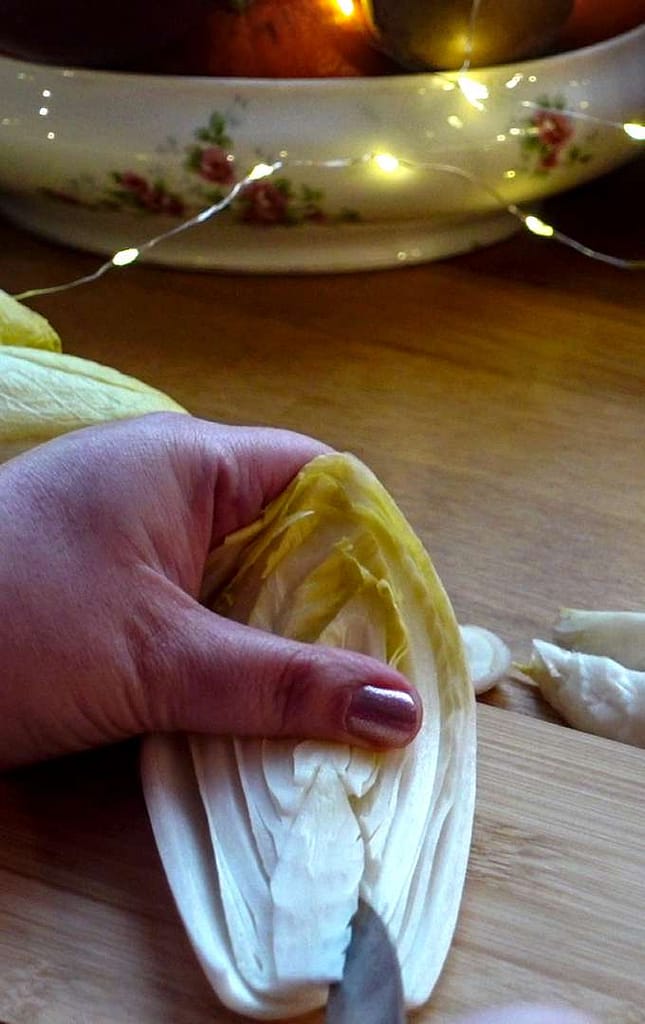 Belgian witloof endives, known as white gold, cultivated since the 1830s